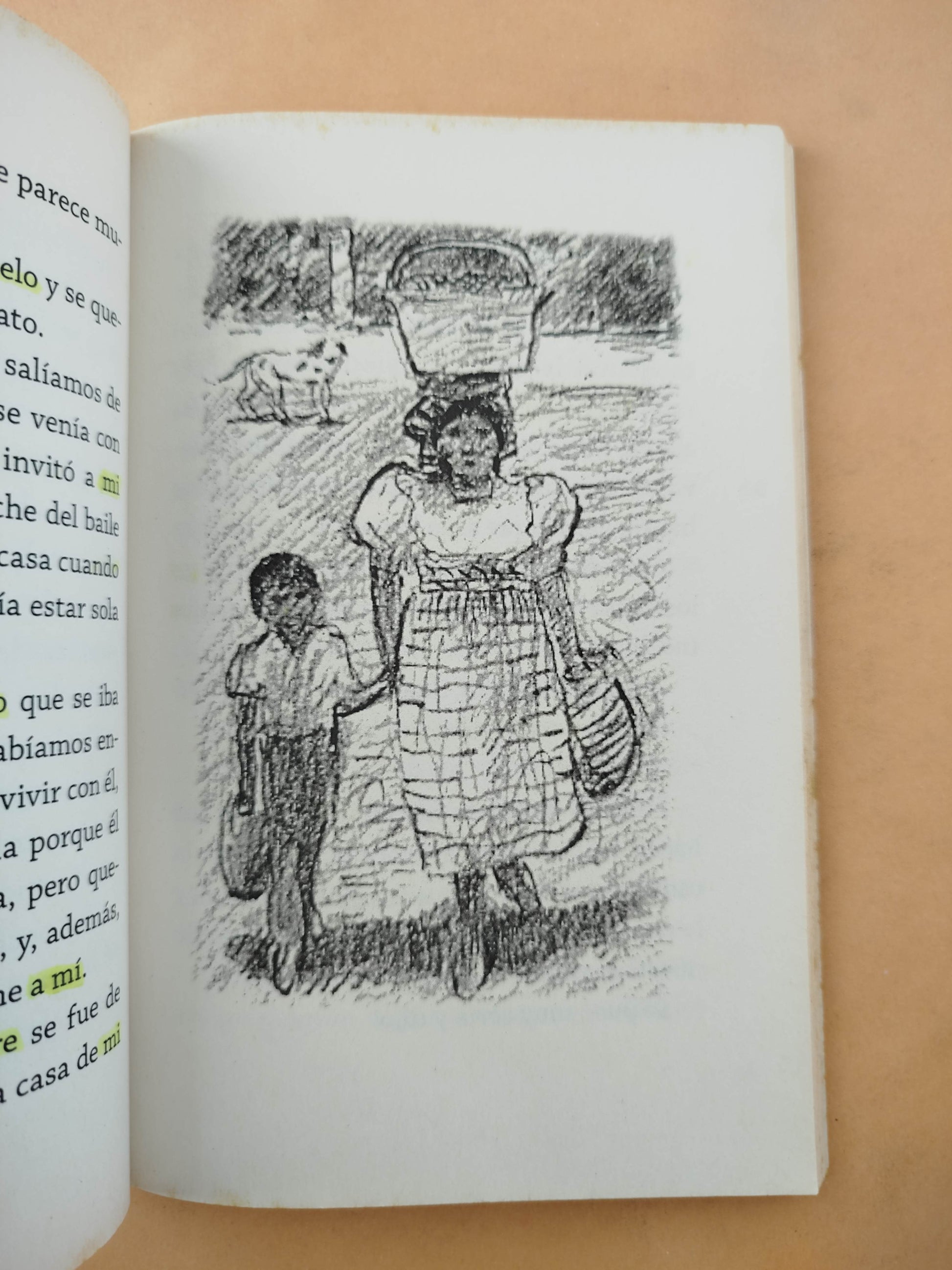 El lugar más bonito del mundo by Ann Cameron