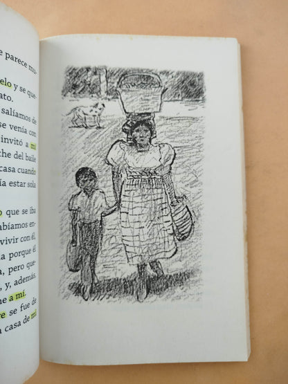 El lugar más bonito del mundo by Ann Cameron