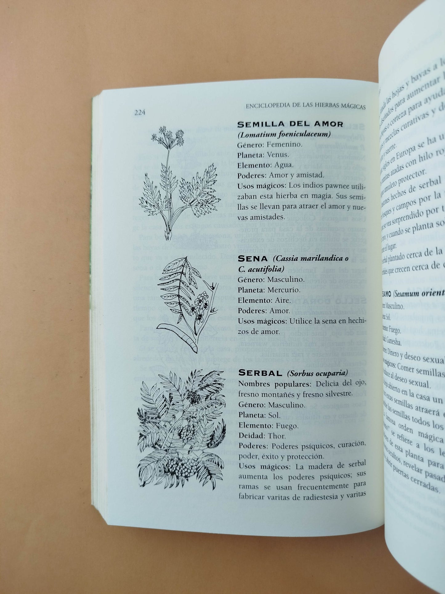 Enciclopedia de las hierbas mágicas by Scott Cunningham