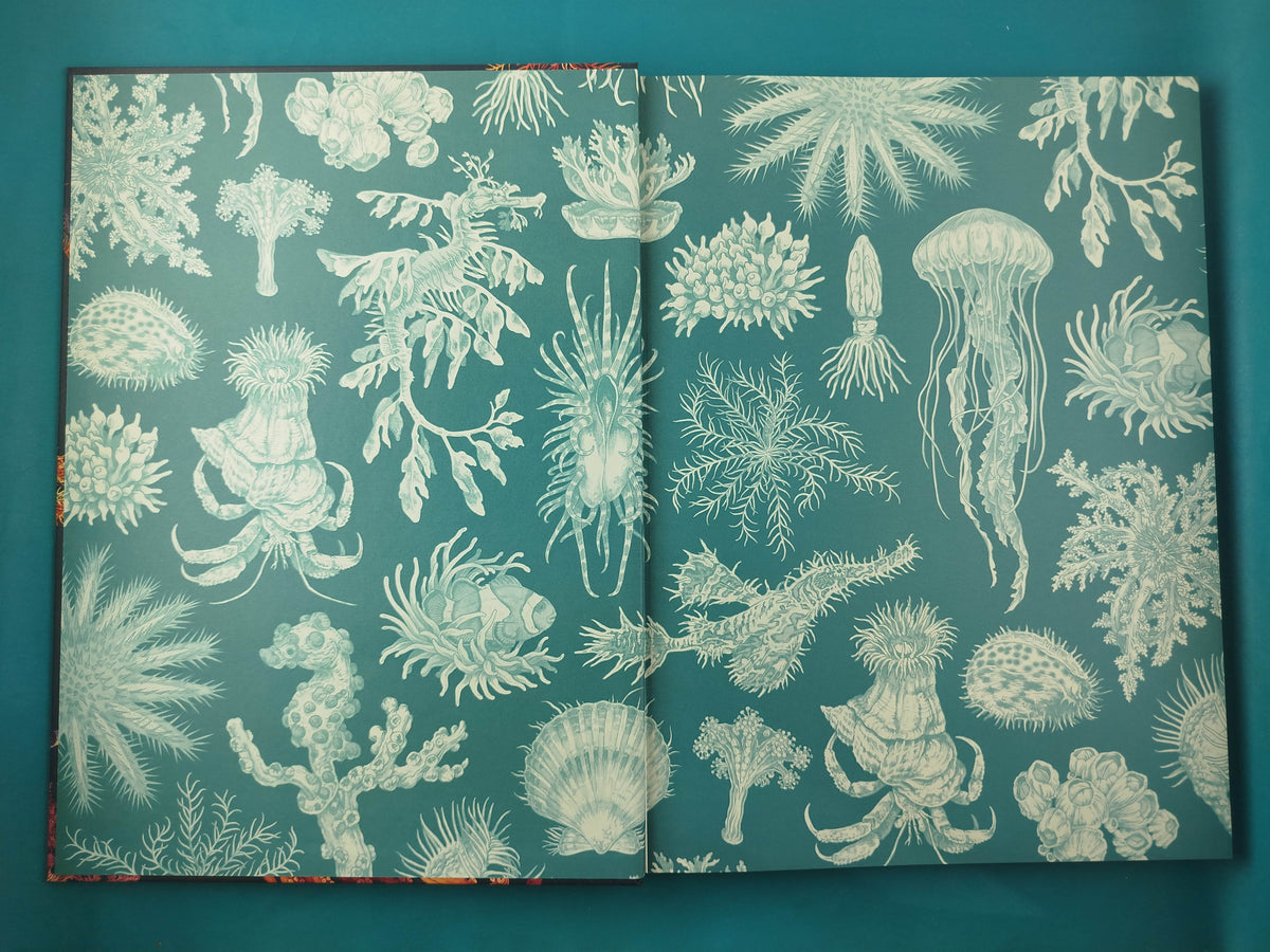 Oceanarium by varios Autores