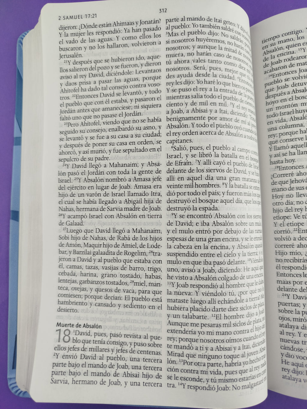 Biblia rvr 1960 nombres de Dios letra grande azul celeste canto plateado by Reina Valera 1960