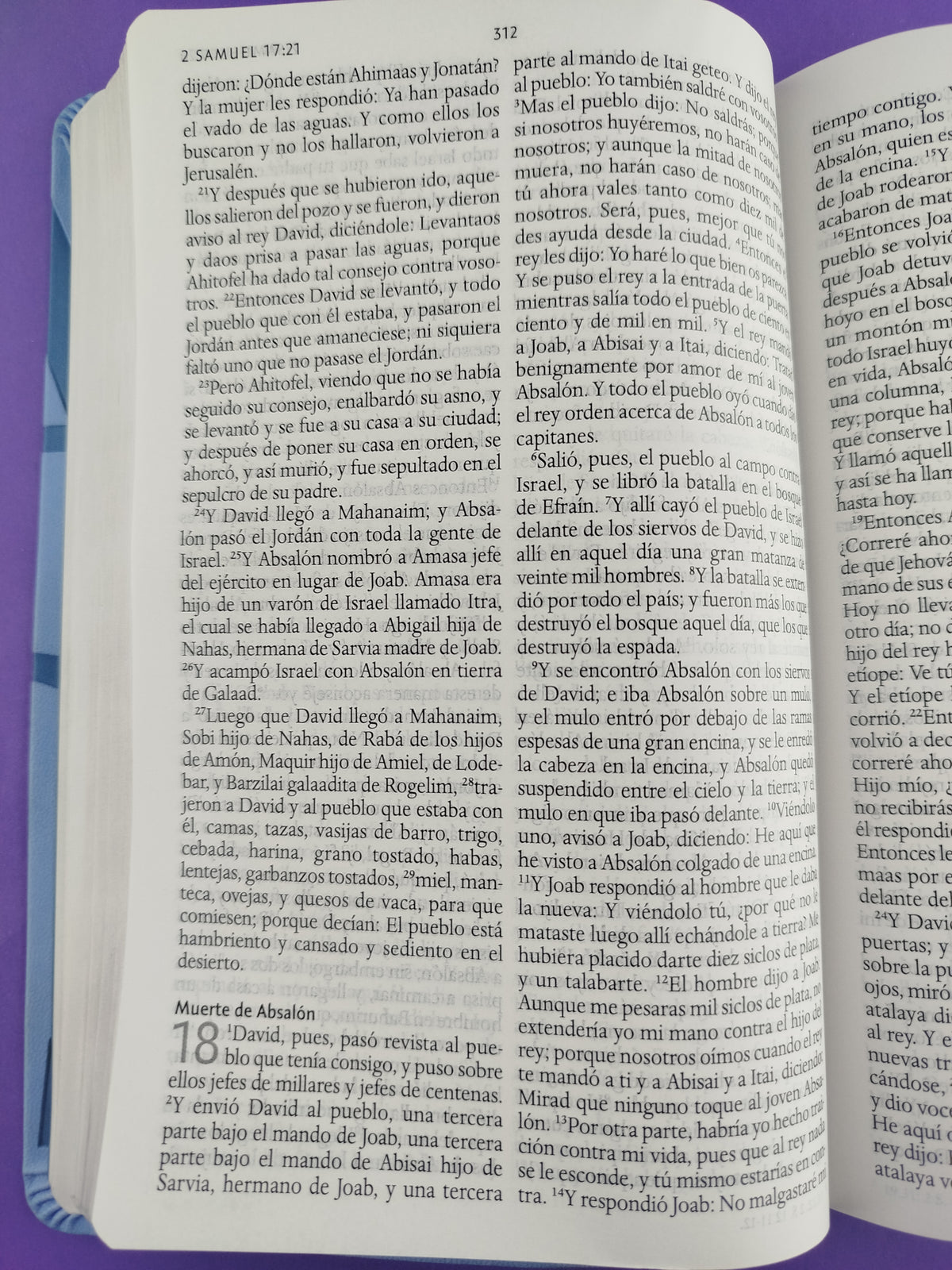 Biblia rvr 1960 nombres de Dios letra grande azul celeste canto plateado by Reina Valera 1960