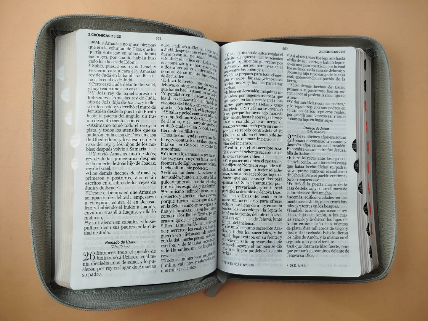 Biblia rvr 1960 bitono negra-gris letra grande con cierre e índice
