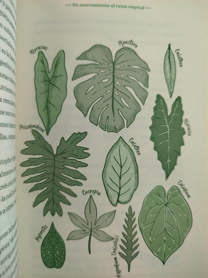 El mensaje de las plantas by Andrea Medina