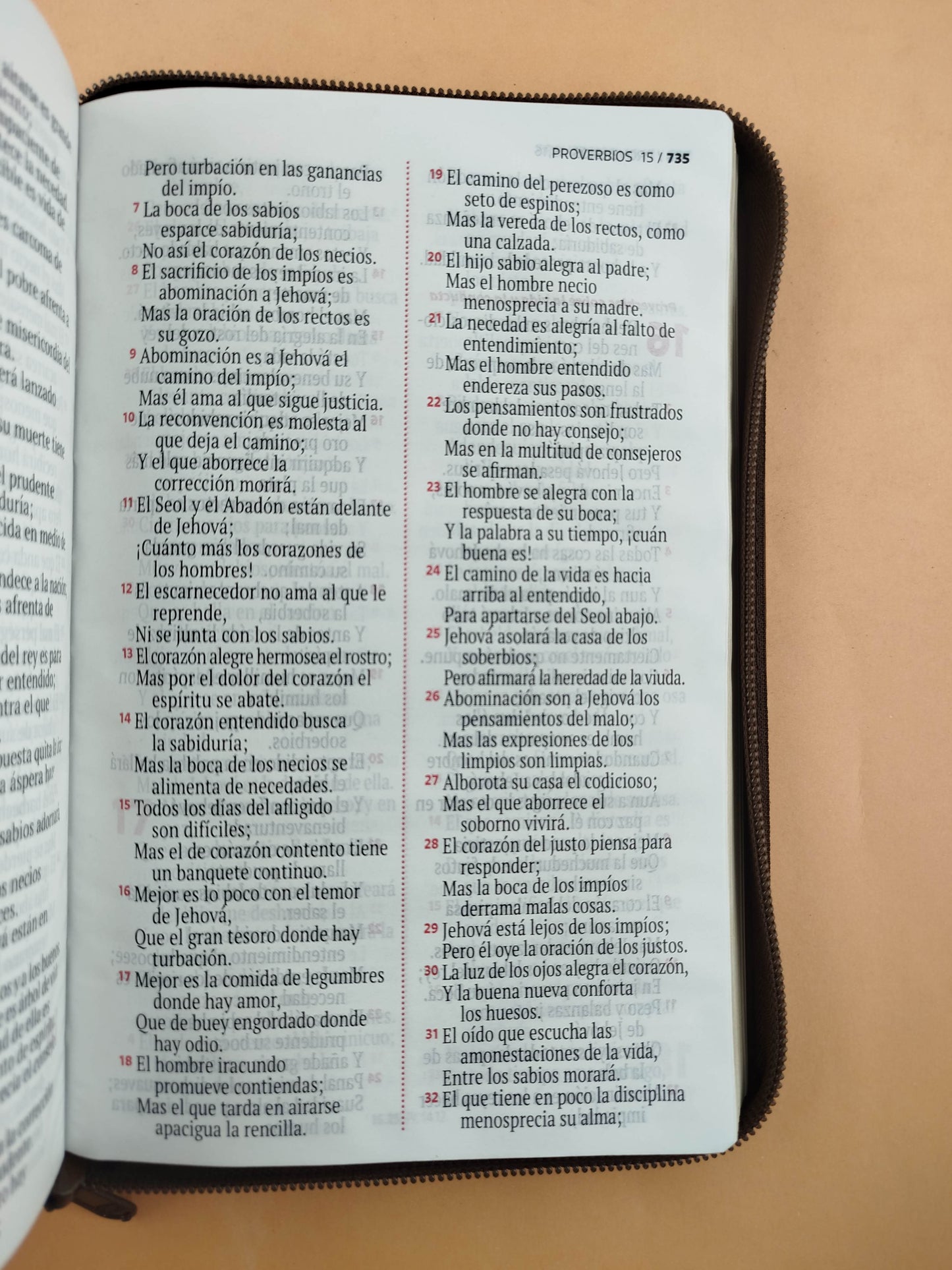 Biblia rvr letra grande cafe borde dorado