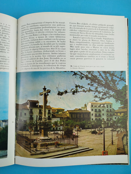 El libro de la Alhambra: historia de los sultanes de Granada