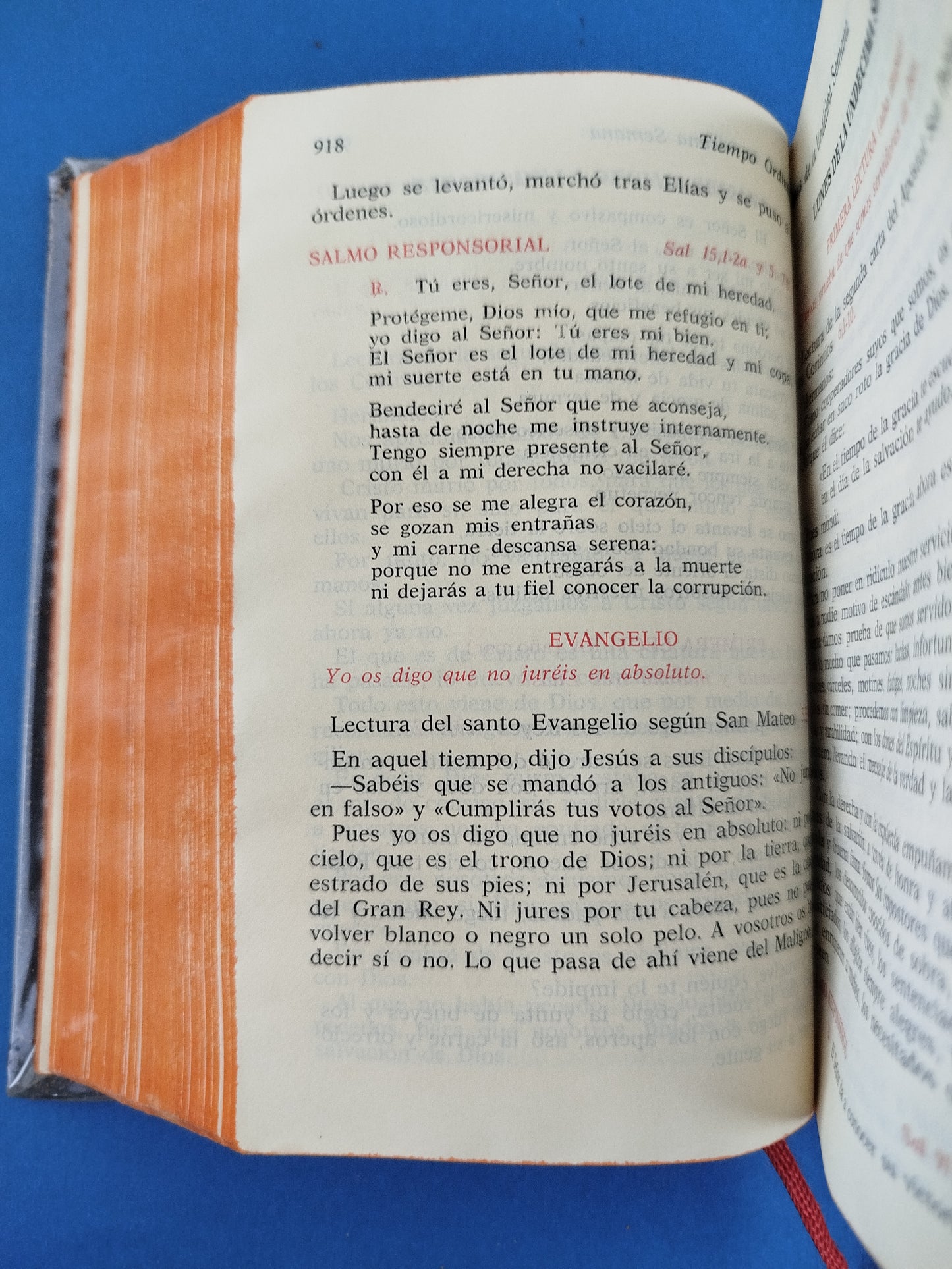 Misal de la comunidad diario II