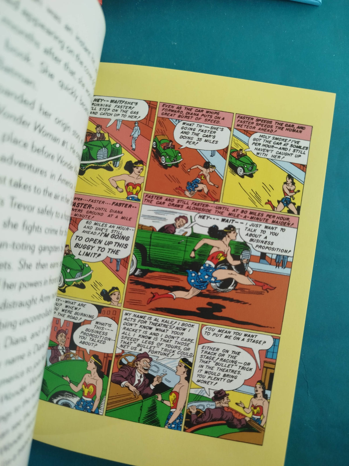 Wonder Woman: Chronicles of the Amazon Princess by Steve Korte