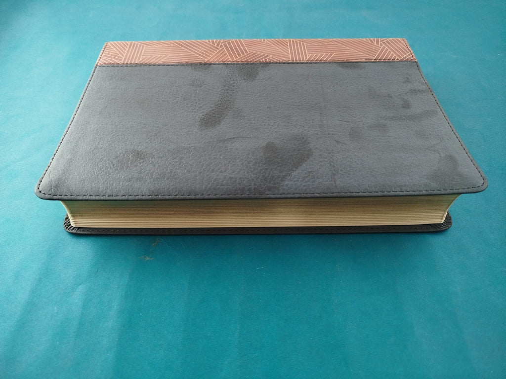 Biblia De Estudio Arcoiris tipo piel café-negro by Reina Valera 1960
