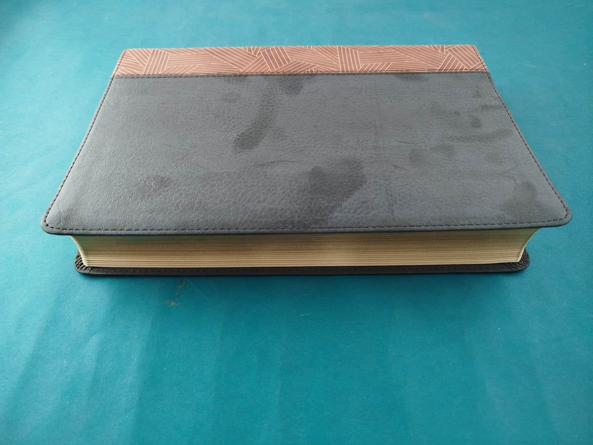 Biblia De Estudio Arcoiris tipo piel café-negro by Reina Valera 1960
