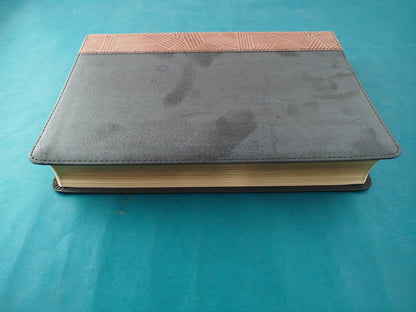 Biblia De Estudio Arcoiris tipo piel café-negro