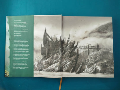 Harry Potter Y La Piedra Filosofal