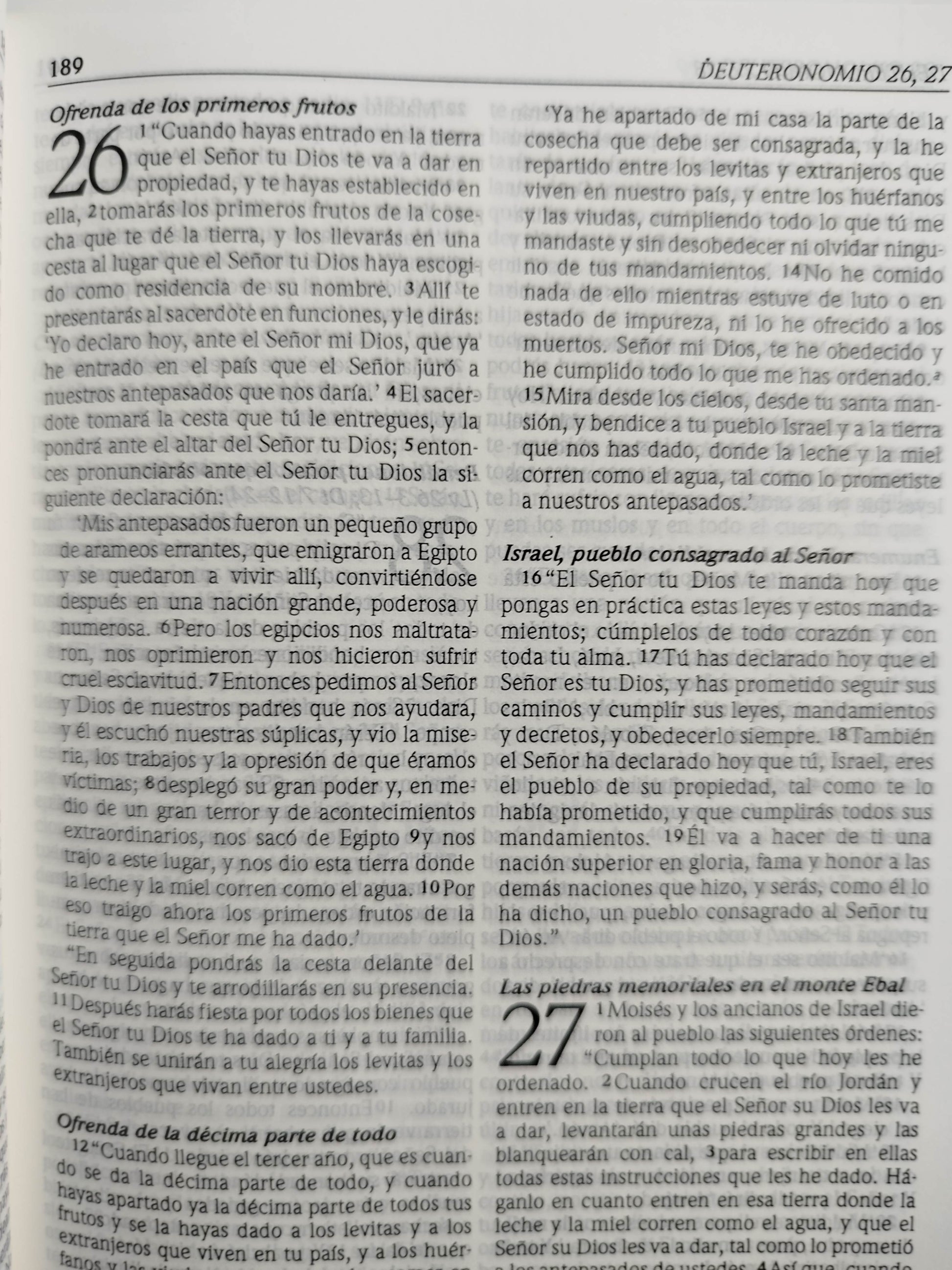 Biblia Dios habla hoy edición interconfesional de referencia by Varios