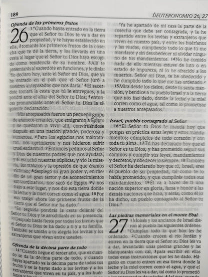 Biblia Dios habla hoy edición interconfesional de referencia by Varios