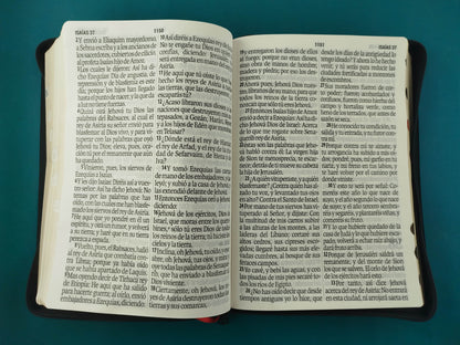 Biblia Valera 1960 Letra Super Gigante Cierre Negro e índice