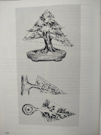 Hagamos Bonsai by Beatriz Botero- Martha Olga Botero