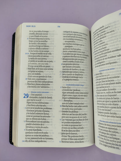 Biblia traducción en lenguaje actual 066  azul oscuro - café / canto dorado