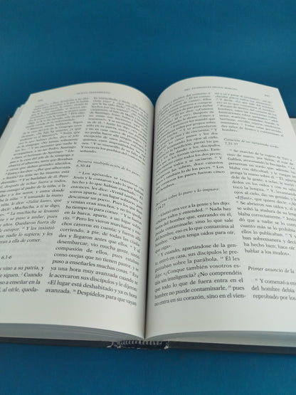 La biblia textos de la sagrada escritura antiguo y nuevo testamento