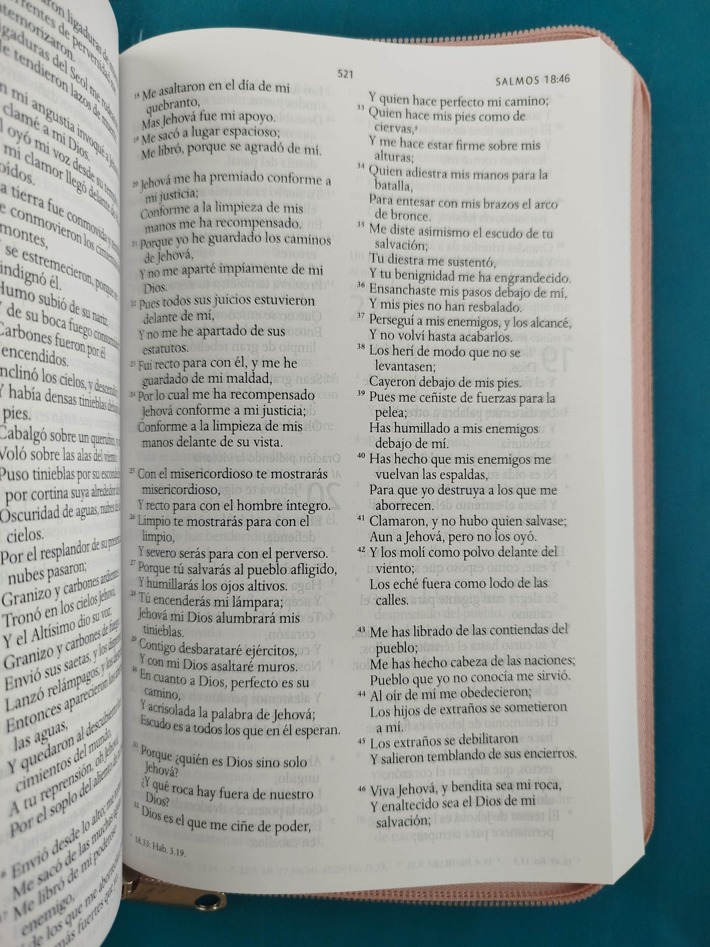 Biblia rvr 1960 letra grande estuche palo de rosa satinado -flores