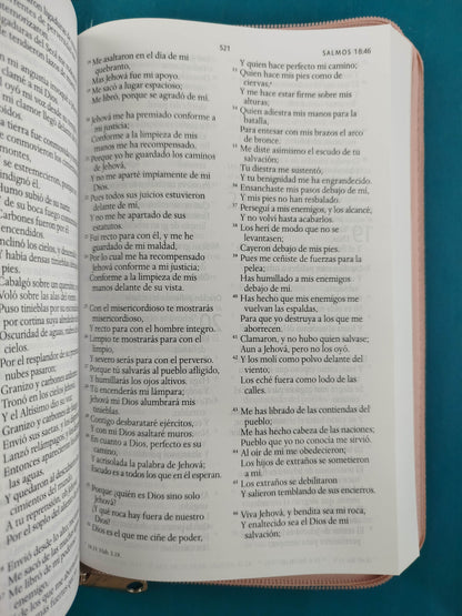 Biblia rvr 1960 letra grande estuche palo de rosa satinado -flores