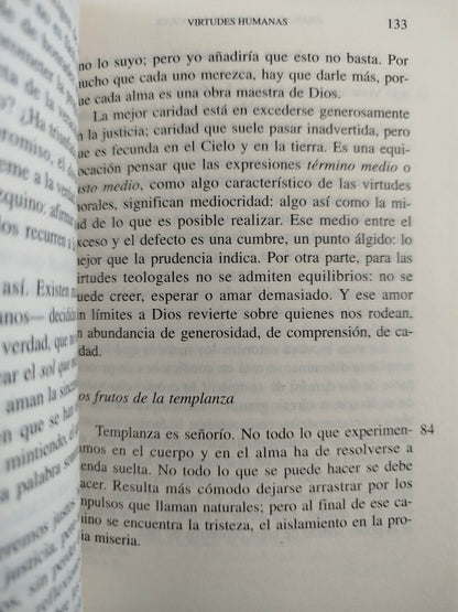 Amigos de Dios by Josemaría Escriva De Balaguer