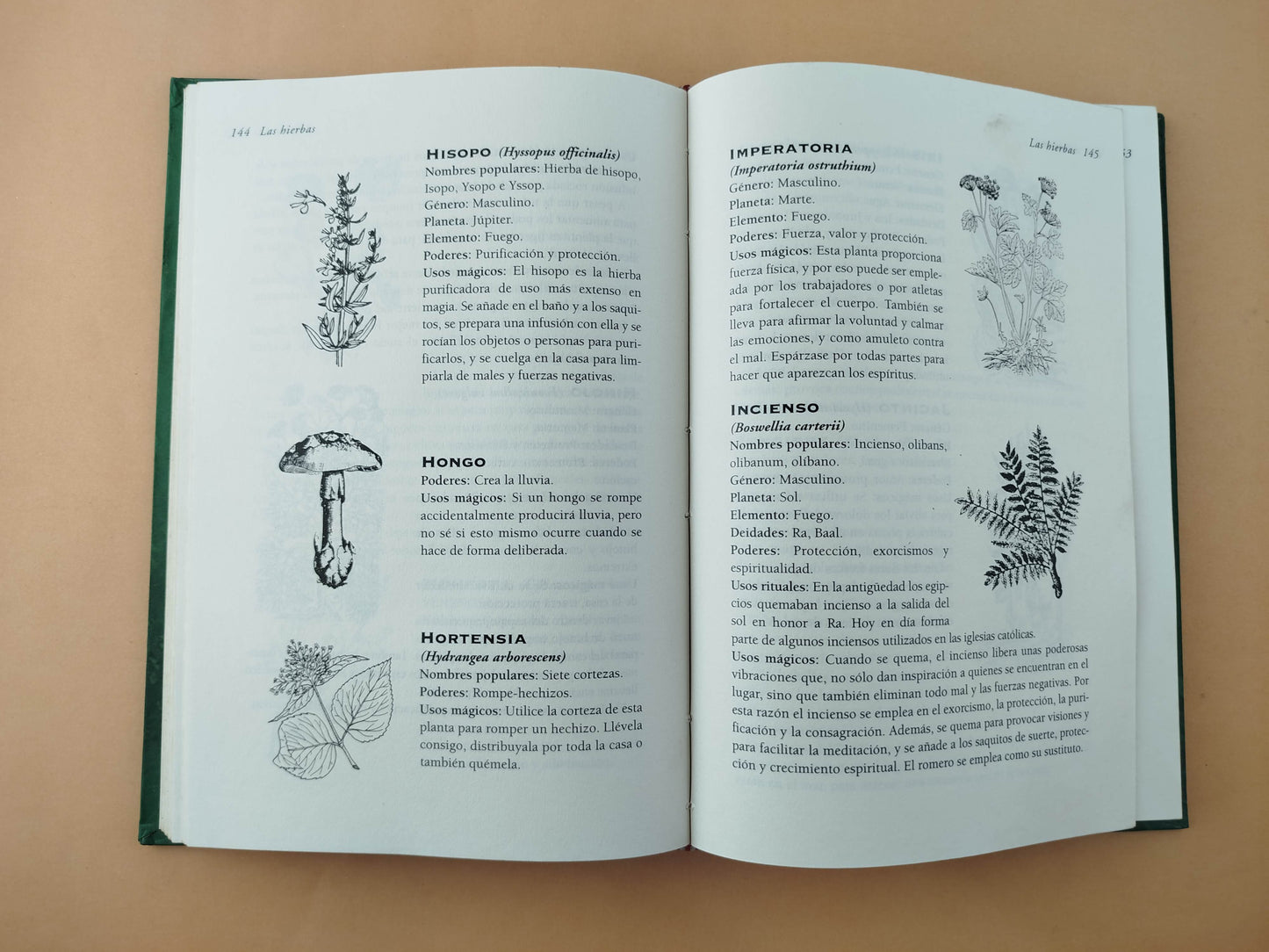 Enciclopedia de las hierbas mágicas