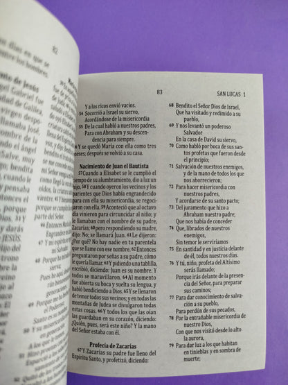 Nuevo testamento salmos y proverbios rvr 1960