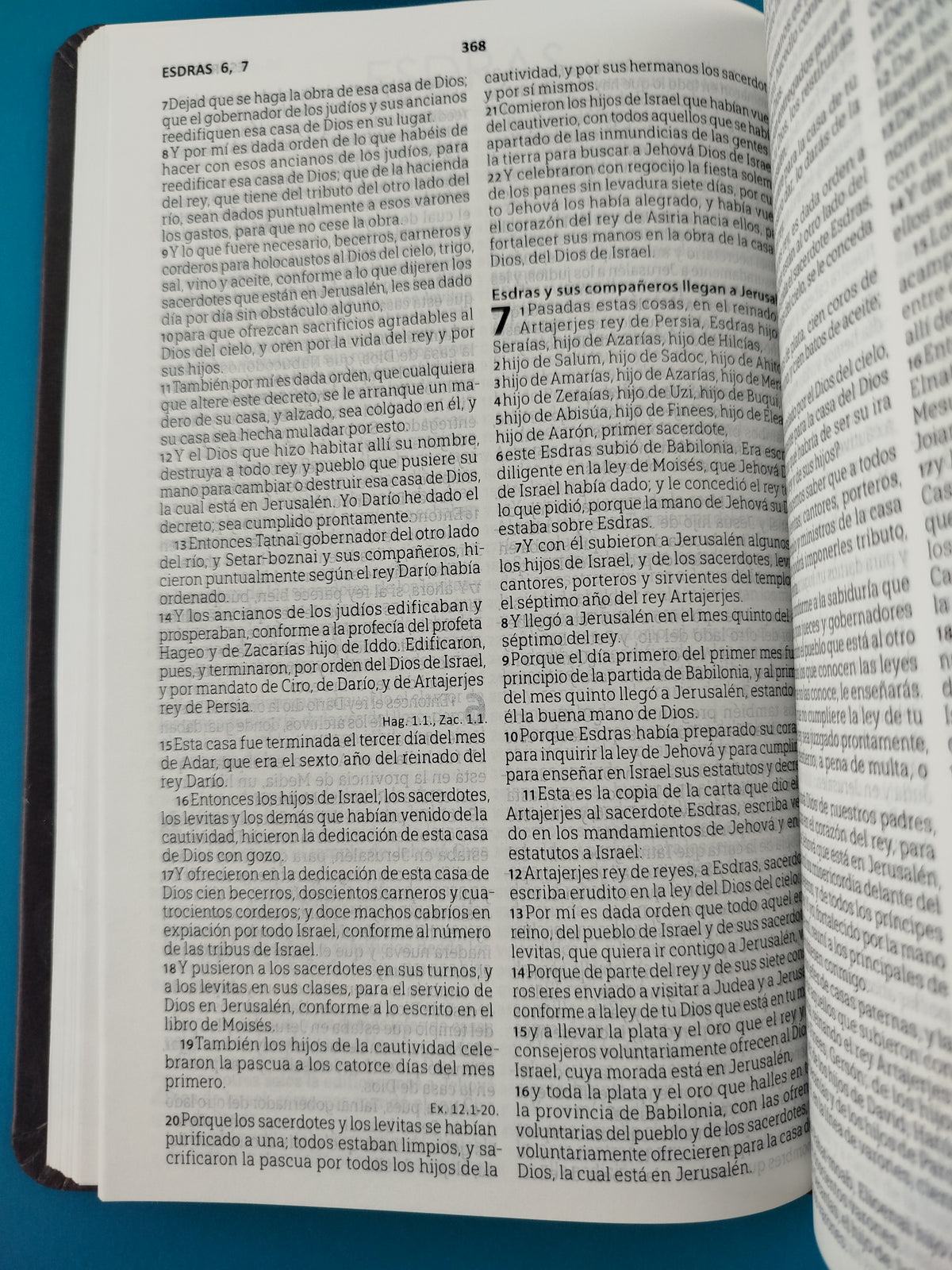 Biblia rvr 1960 tipo agenda café by Reina Valera 1960