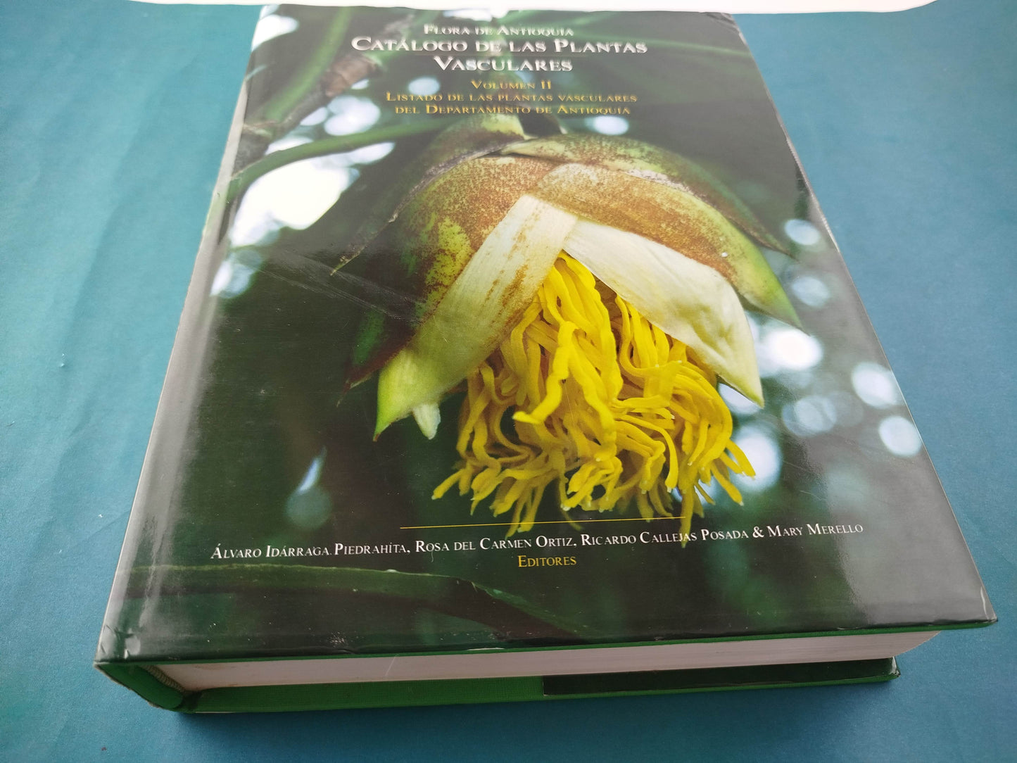 Flora de Antioquia : catálogo de las plantas vasculares