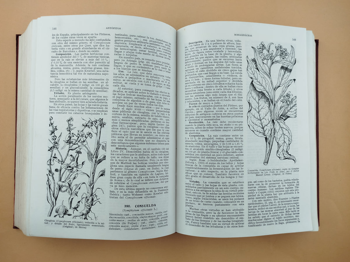Plantas medicinales : El dioscórides renovado by Pío Font Quer.
