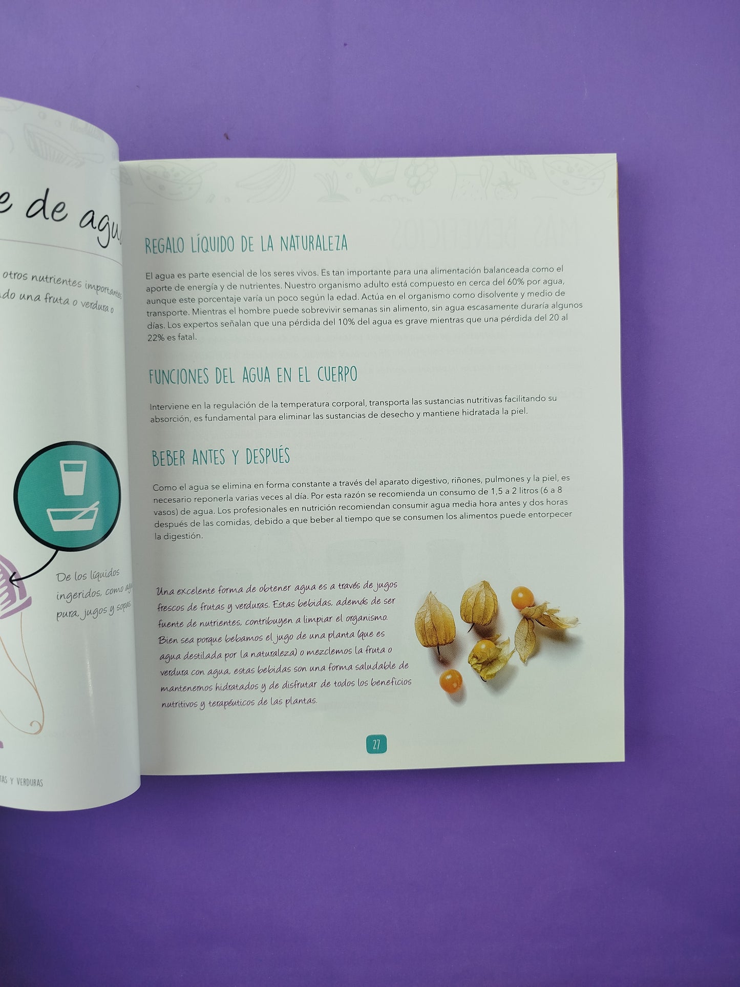 Jugo Terapia con Frutas y Verduras