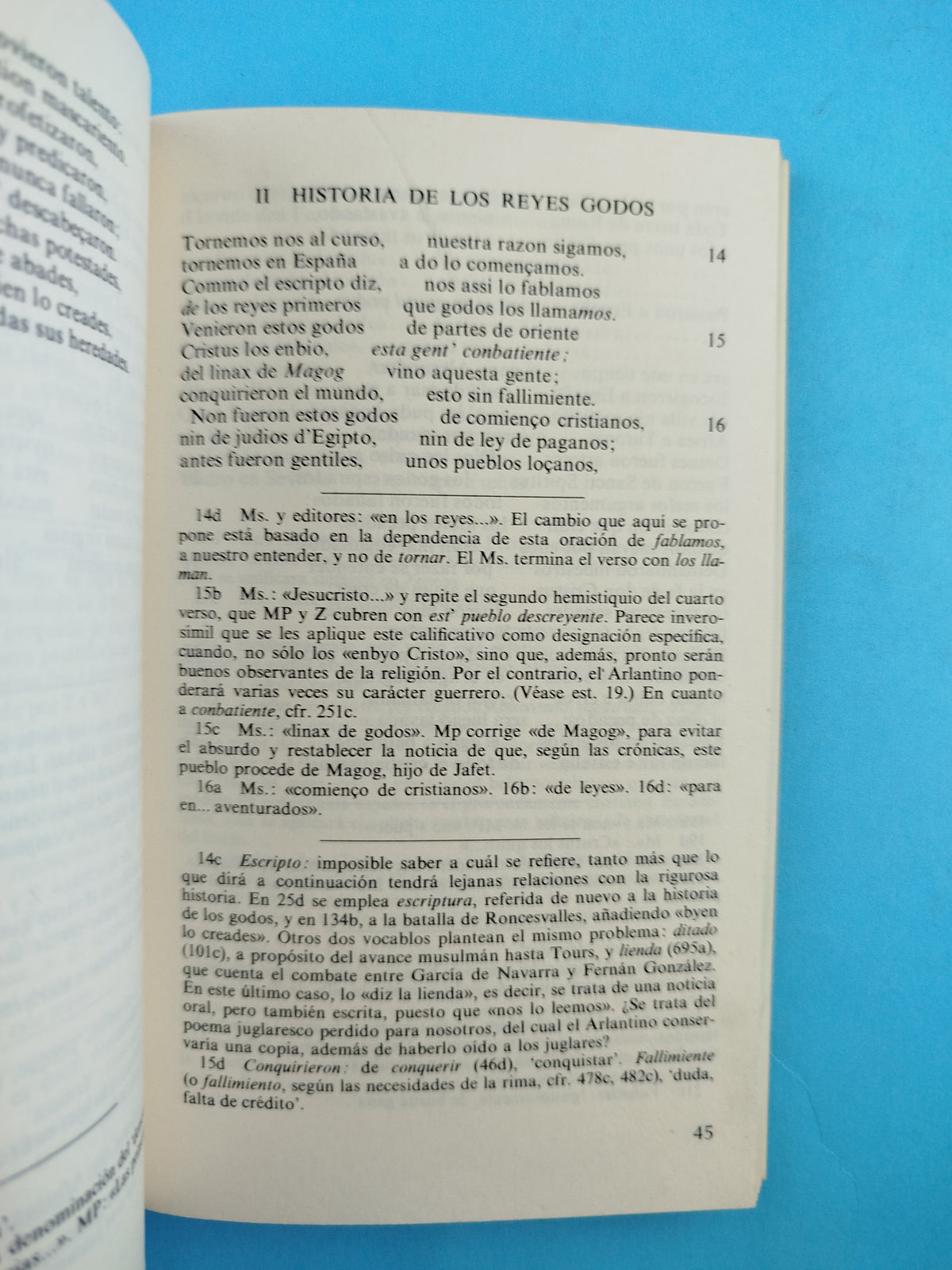 Poema de Fernán González by Anonimo