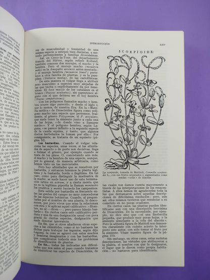 Plantas medicinales El Dioscórides 3 tomos