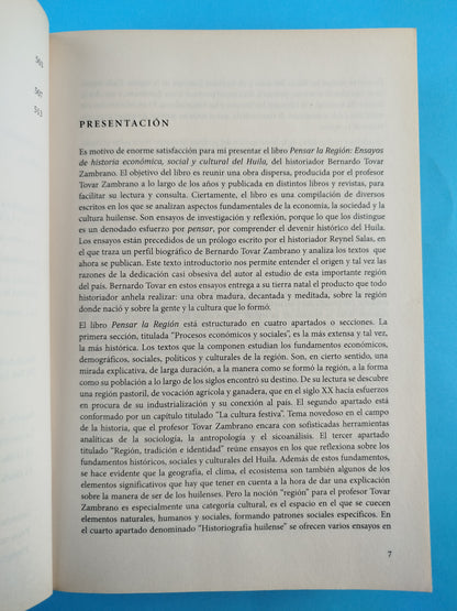 Pensar la región
