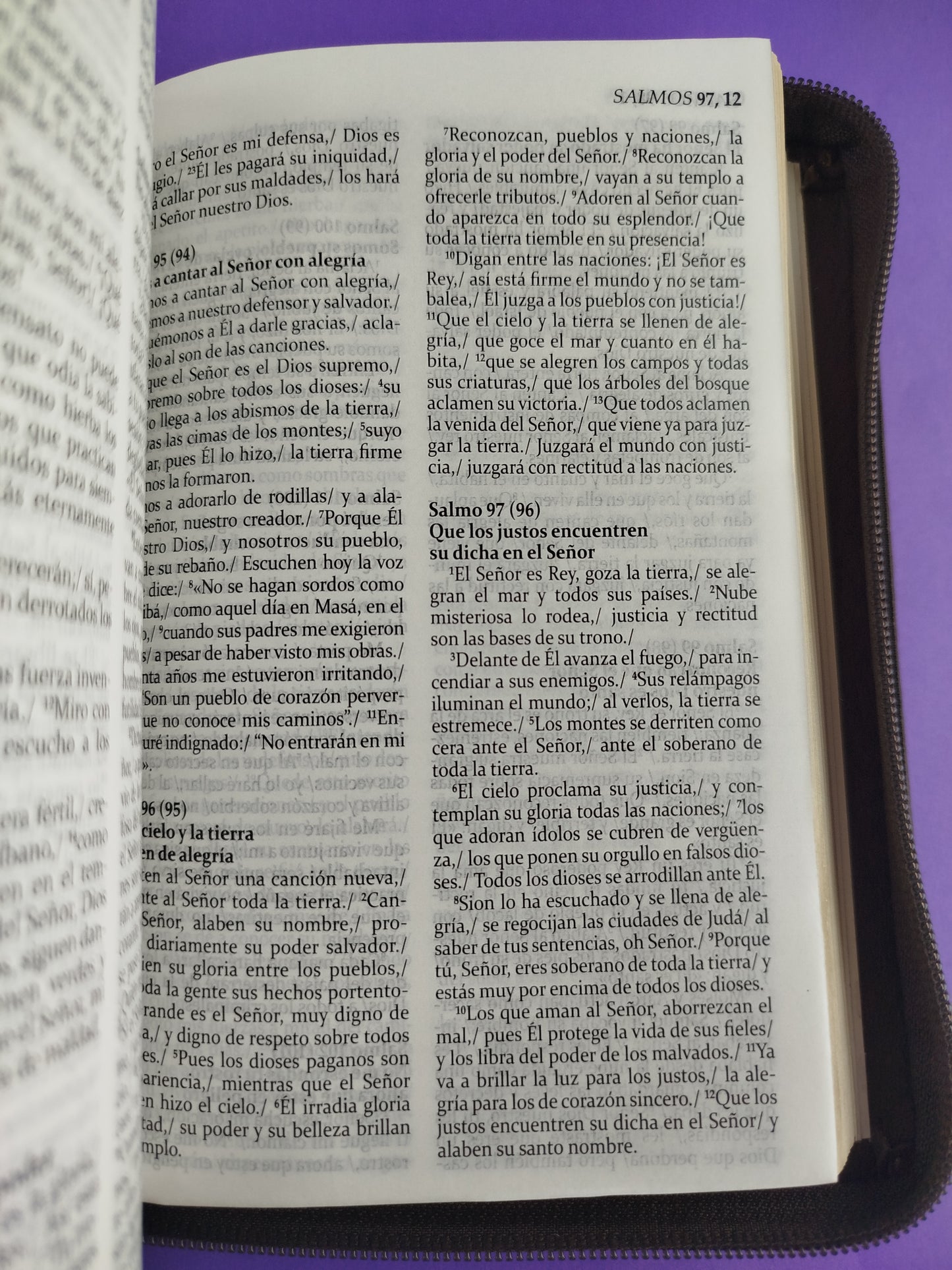 La sagrada biblia de américa estuche café