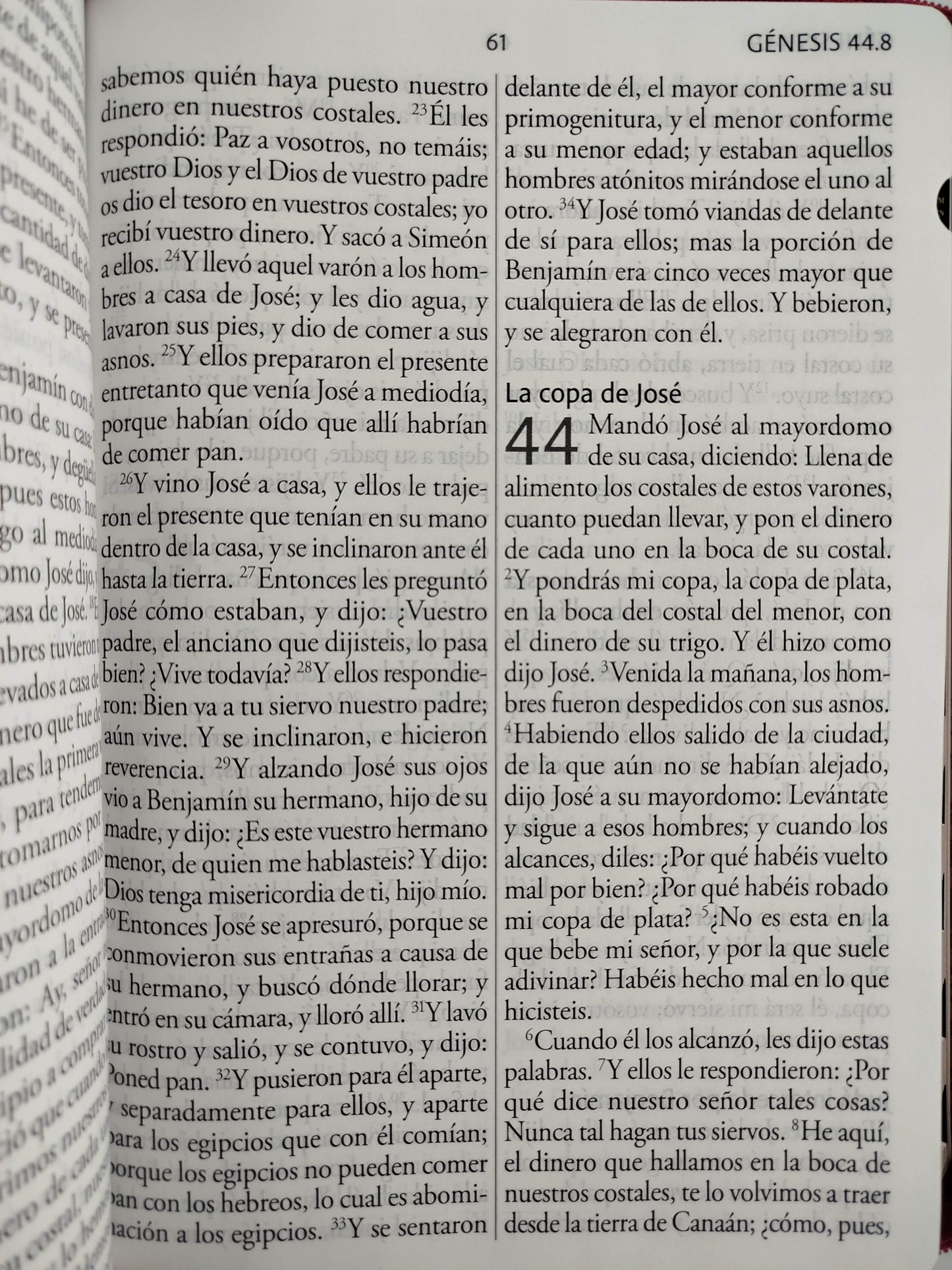 Biblia Reina Valera Revisada 1960 letra súper gigante, símil piel fucsia rosada, cremallera e índice by Cipriano Valera