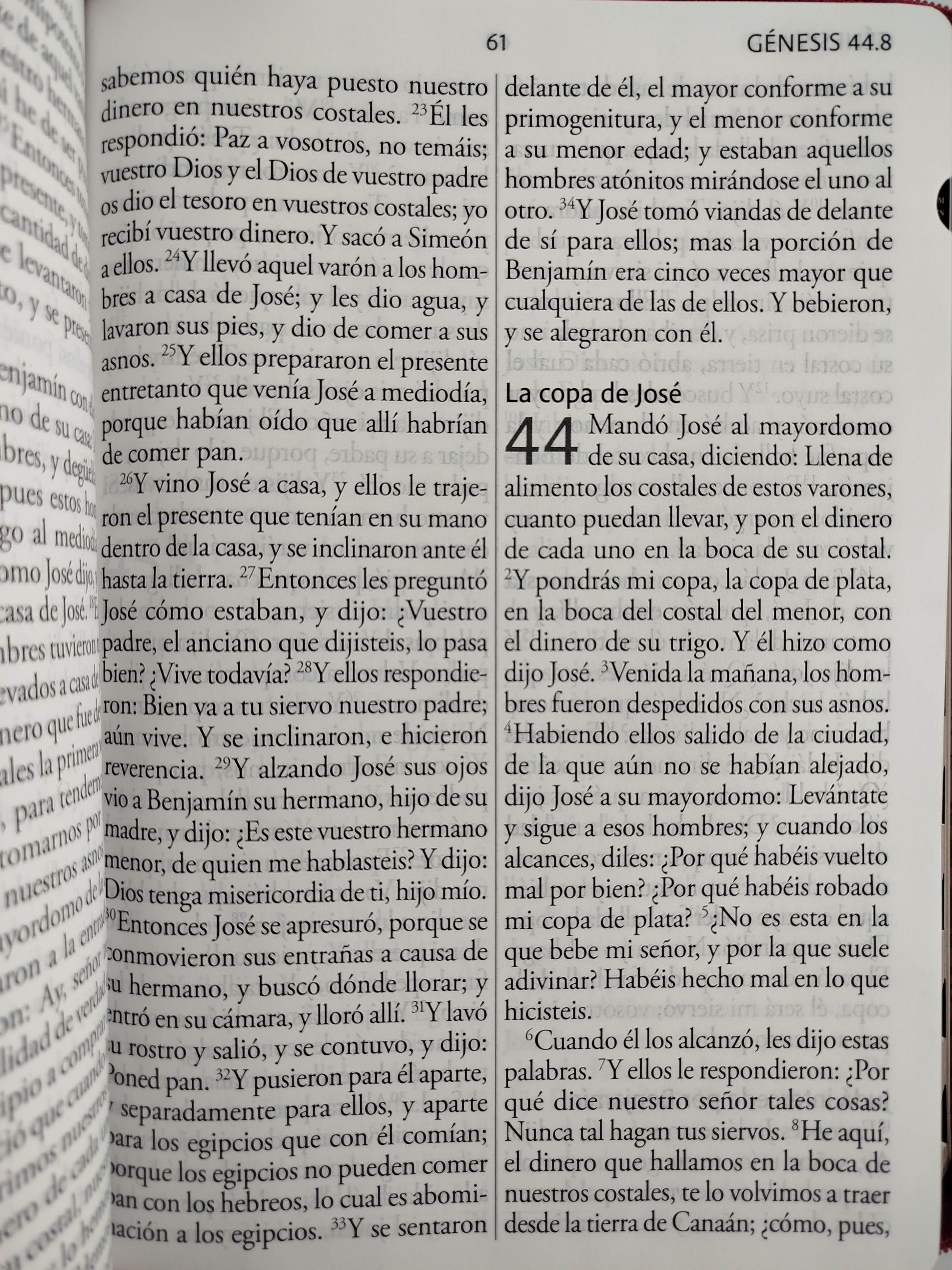 Biblia Reina Valera Revisada 1960 letra súper gigante, símil piel fucsia rosada, cremallera e índice by Cipriano Valera
