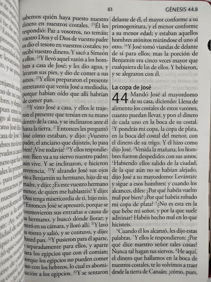Biblia Reina Valera Revisada 1960 letra súper gigante, símil piel fucsia rosada, cremallera e índice by Cipriano Valera