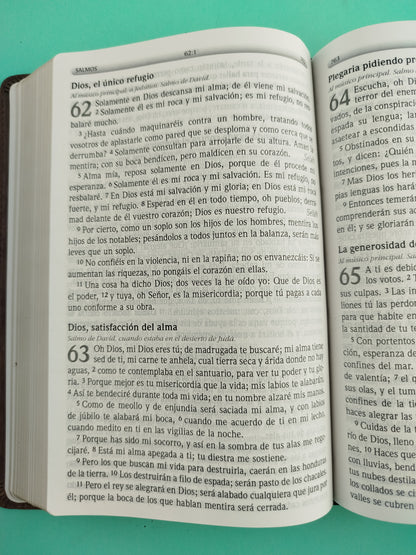 Biblia lectura fácil letra grande 1977 rvr