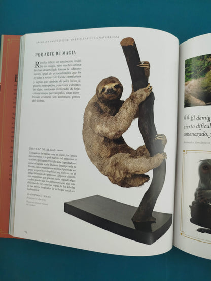 Animales fantásticos maravillas de la naturaleza