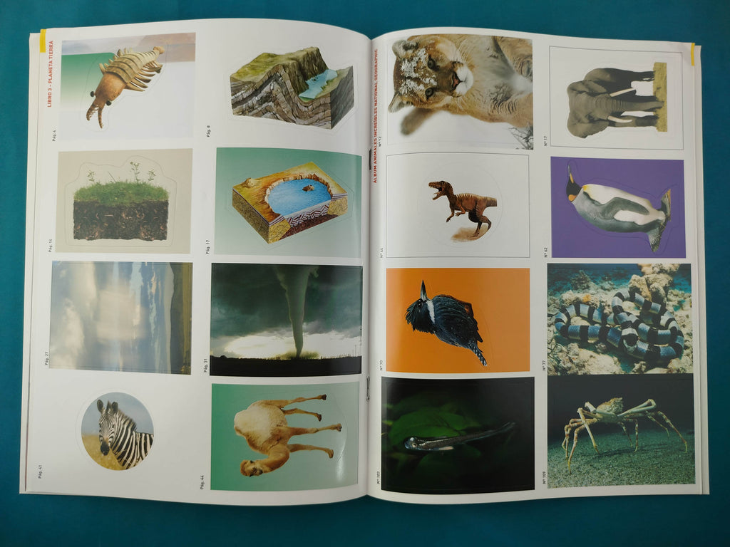 Mi Primera Enciclopedia Planeta Tierra by National Geographic Society