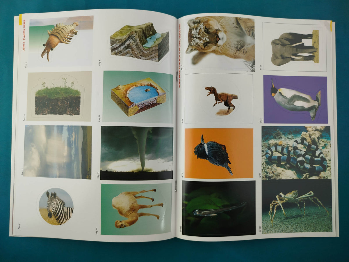 Mi Primera Enciclopedia Planeta Tierra by National Geographic Society