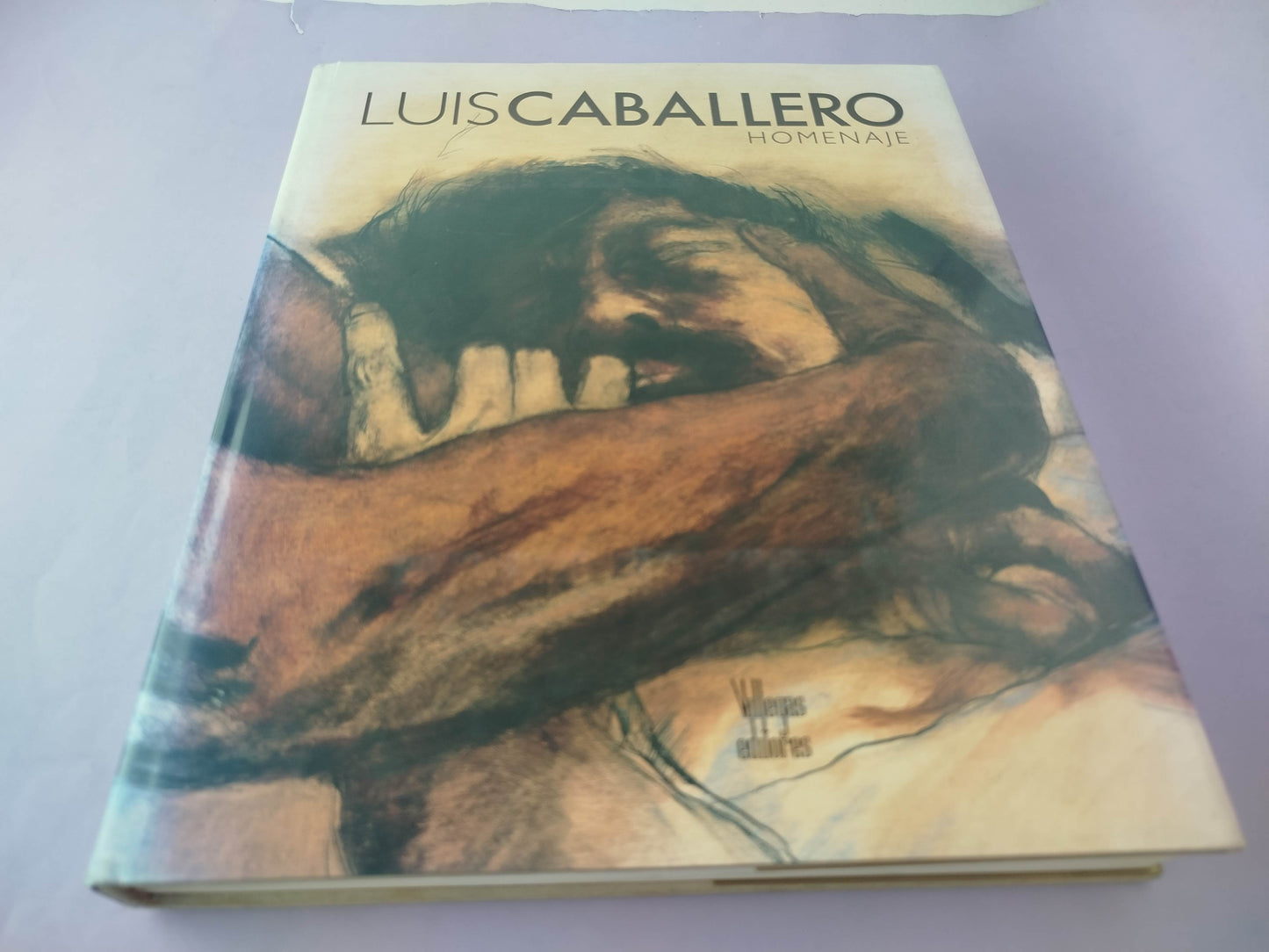Luis Caballero homenaje