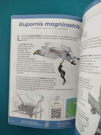 Aves de Cali un libro ilustrado por estudiantes de la universidad icesi