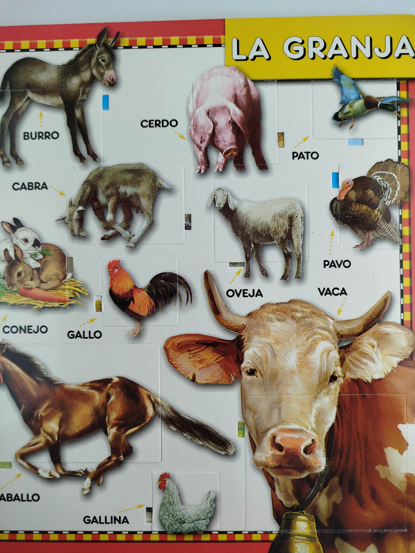 Observa el mundo animales by Andrea Dami