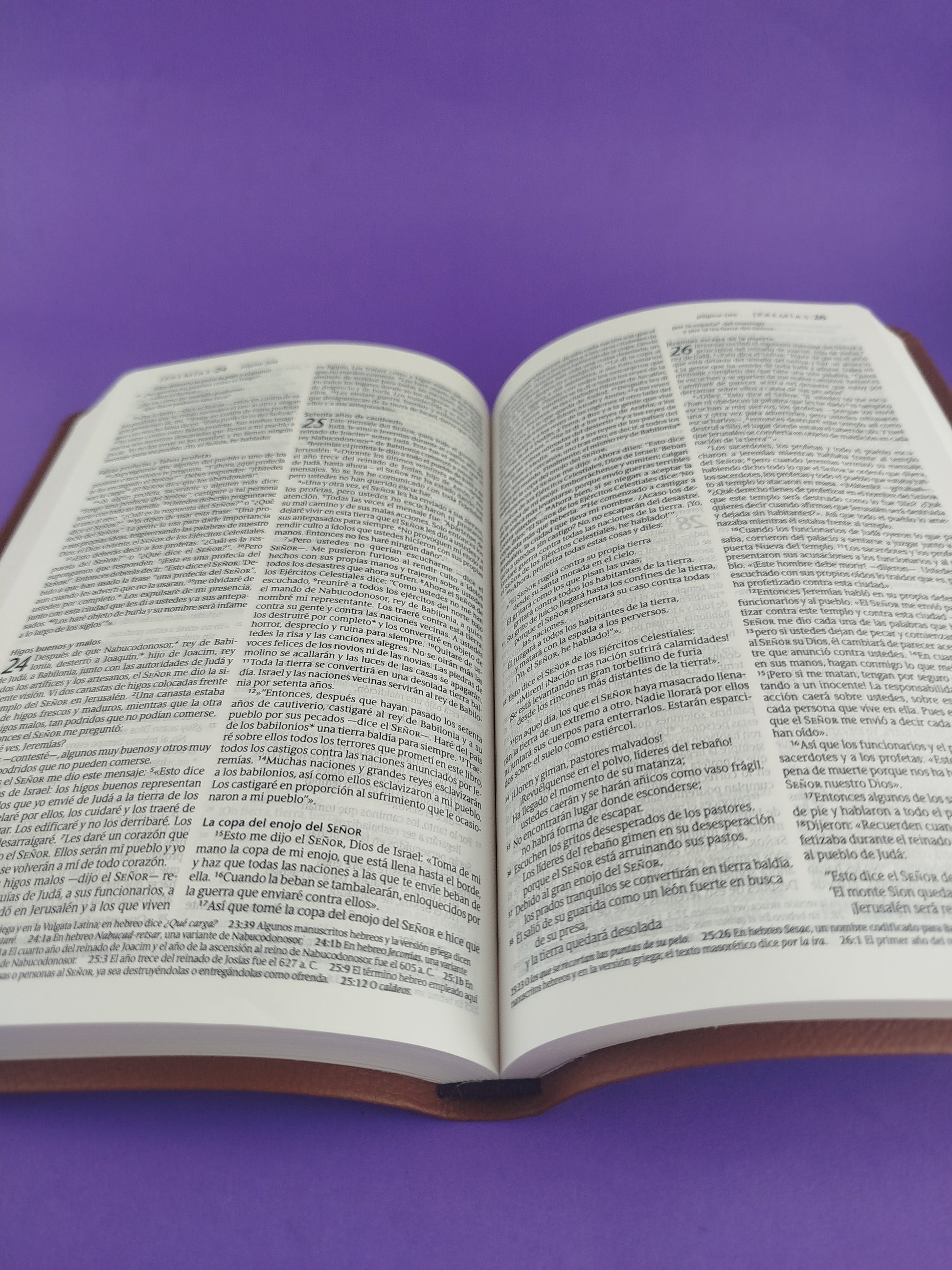 Biblia ntv ágape sentipiel café by Nueva Traducción Viviente