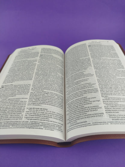 Biblia ntv ágape sentipiel café by Nueva Traducción Viviente