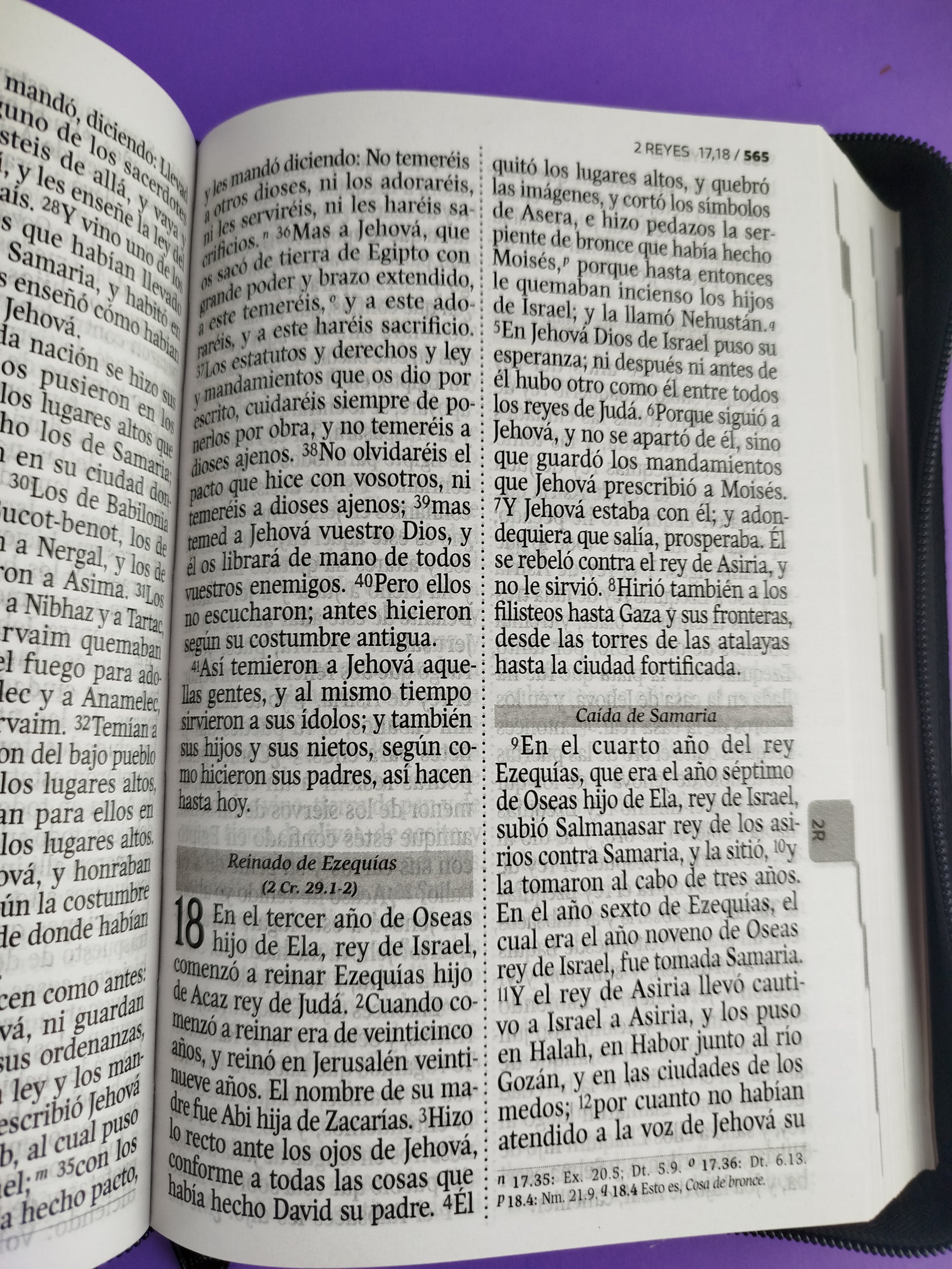Biblia reina valera 1960 letra grande simi piel negra / canto blanco by Reina Valera 1960
