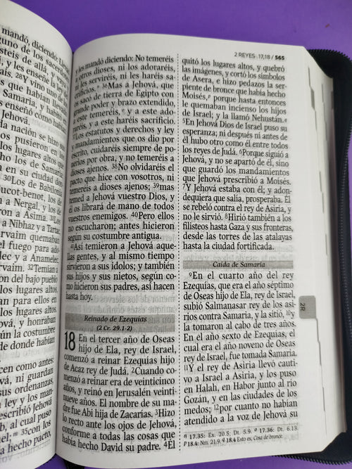 Biblia reina valera 1960 letra grande simi piel negra / canto blanco by Reina Valera 1960
