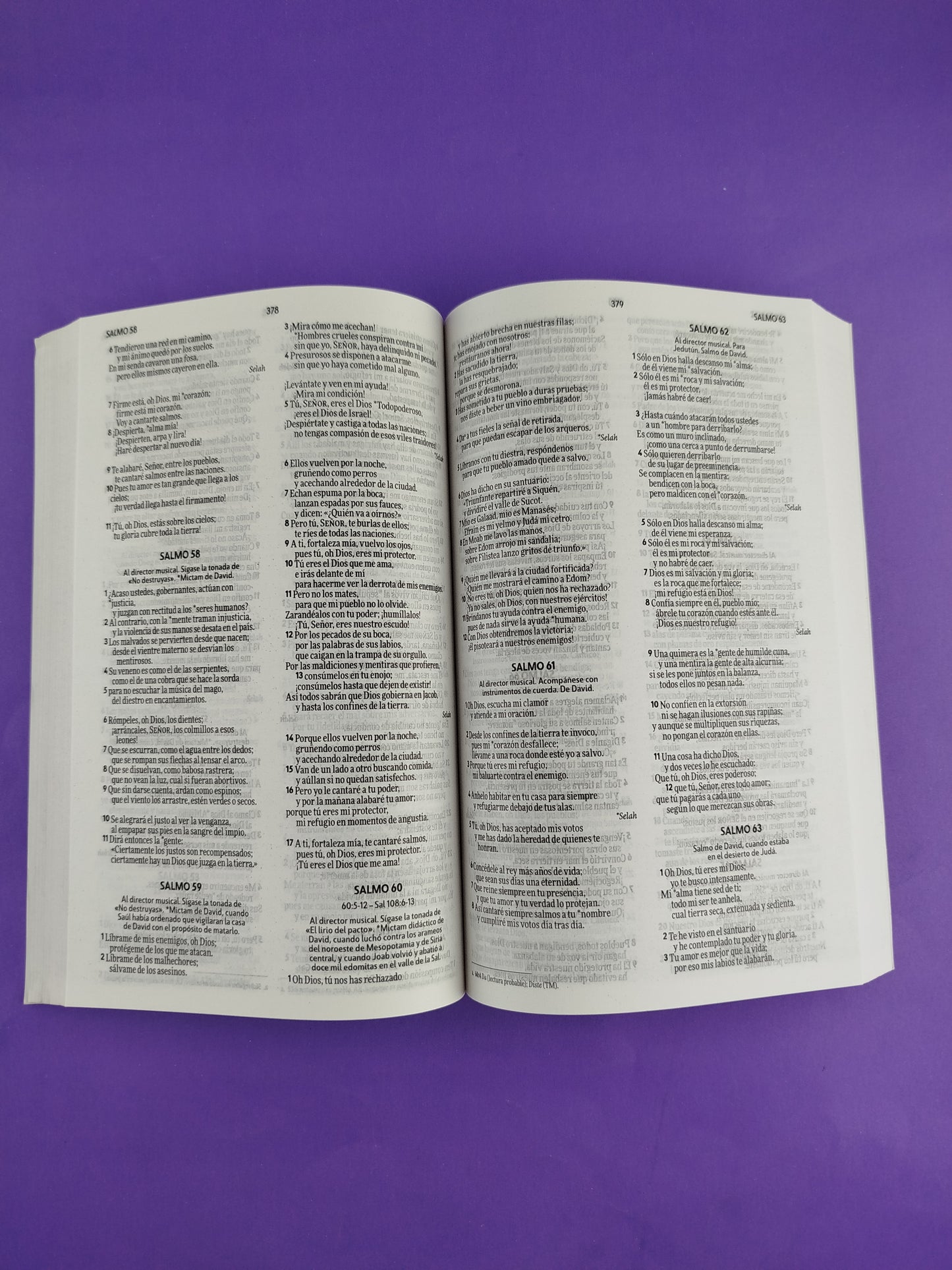 Biblia nvi rustica circulos